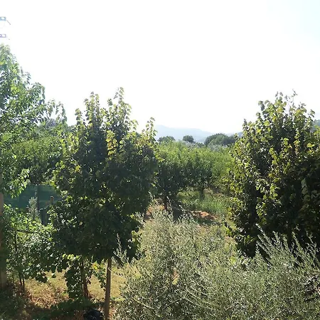 Κατάλυμα σε φάρμα Agriturismo Il Melograno Maiolati Spontini